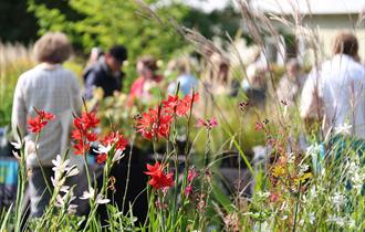 <img src="plantfair.jpg" alt="">