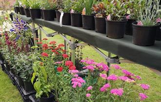 Spring Fair