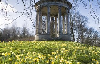 Spring at Petworth