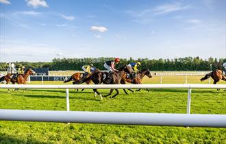 August Evening Raceday at Newbury Racecourse