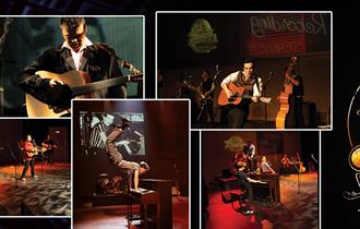 Sun Records, The Concert