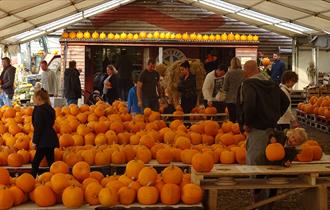 Pumpkin Festival at Sunnyfields Farm