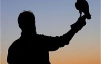silhouette of man holding bird