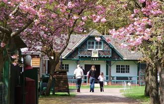 Surrey Hills Spring Fair