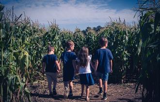 Maze mazes for children of all ages and family fun in the countryside