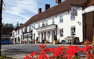 The Dog & Bear Hotel