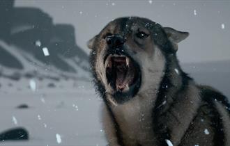 A screenshot from The Frost, an AI-generated film, showing a wolf growling in the snow.
