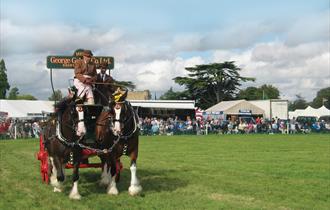 The Romsey Show