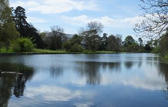 The Vyne Lake