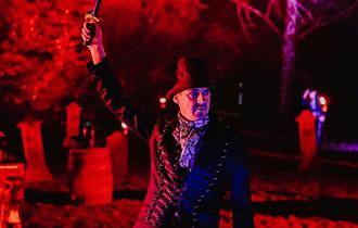Halloween at Moors Valley, Moors Valley, Light Trail; Illuminated trail
