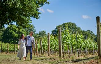 Theatre in Vines
