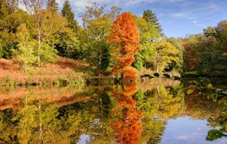Westwood lake in autumn