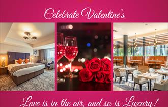 Valentines Day Celebrations in Reading