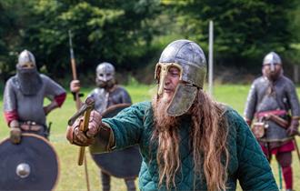 Viking Raid