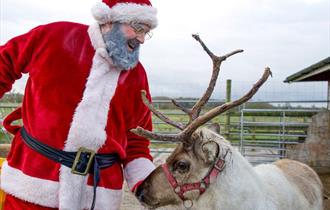 Christmas at the Farm - a magical festive experience at Hogshaw Farm