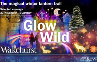Glow Wild
