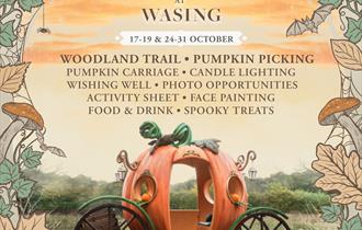 Wasing Pumpkin Event