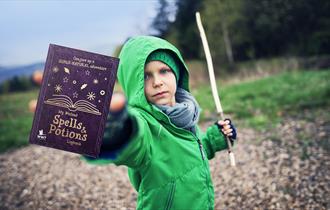 Boy with a Wand and his free WWT Spells and Potions log book