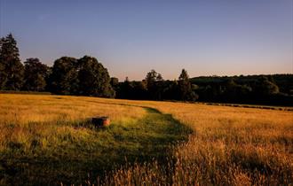 Coronation Meadow at dusk