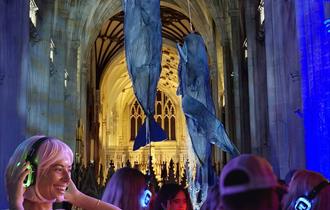 Silent disco under the Whales
