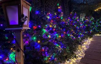 Christmas Holidays