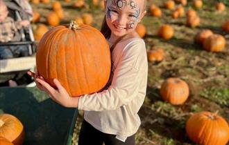 The Rogate Pumpkin Patch