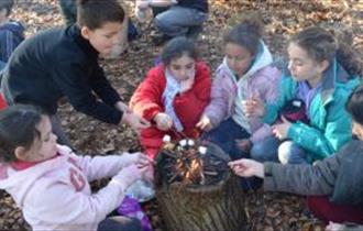 February Half Term Wild Woodland Camp