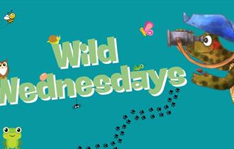 Wild Wednesdays
