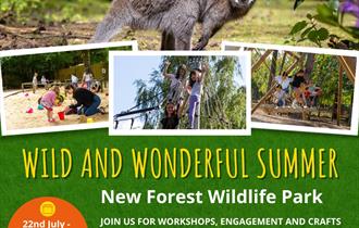 Wild and Wonderful Sumer at New Forest Wildlife Park