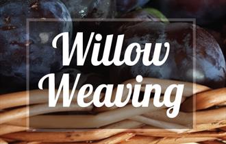 Willow Weaving Course