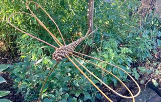 Dragonfly Willow Weaving
