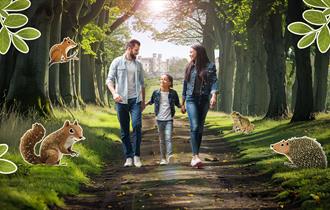 Woodland Trail