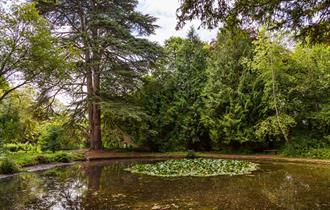 Wychwood Wild Garden