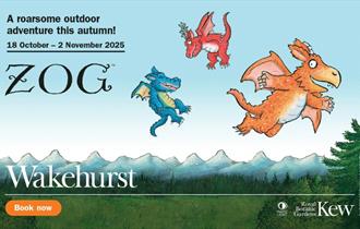 Zog the dragon and two friends fly over mountains