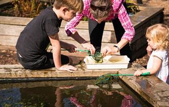 Pond Dipping at Sir Harold Hillier Gardens