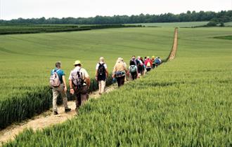 White Cliffs Walking Week