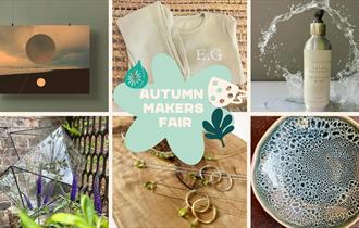 Paper Daisy Events