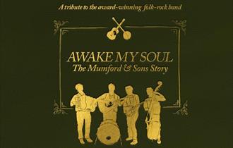 Awake My Soul: The Mumford and Sons Story