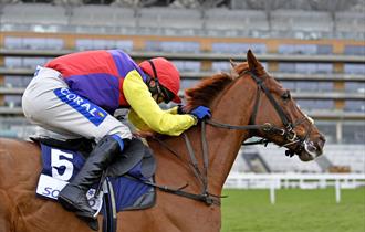 Betfair Ascot Chase Raceday at Ascot Racecourse