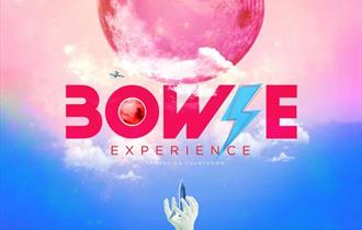 Bowie experience