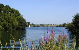 Dinton Pastures