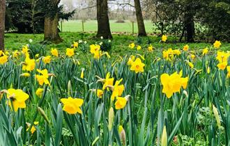 Mothering Sunday