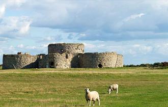 Camber Castle