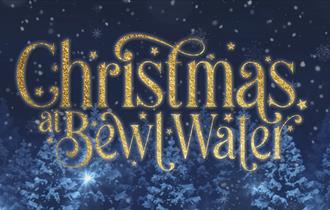 Christmas at Bewl Water