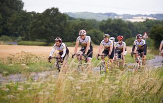 Cycling in Hampshire on the South Downs