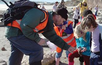Fossil walk with team from Dinosaur Isle Museum