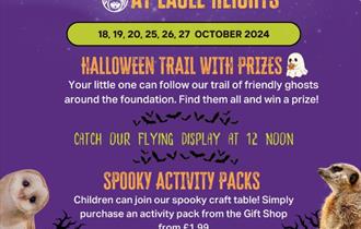 Eagle Heights Halloween Trail
