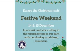 Festive Weekend poster, Isle of Wight Donkey Sanctuary, Christmas event, family friendly, what's on