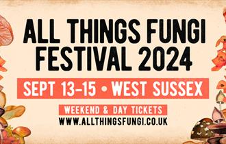 All Things Fungi Festival 2024