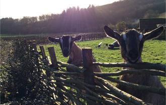 Butser Ancient Farm